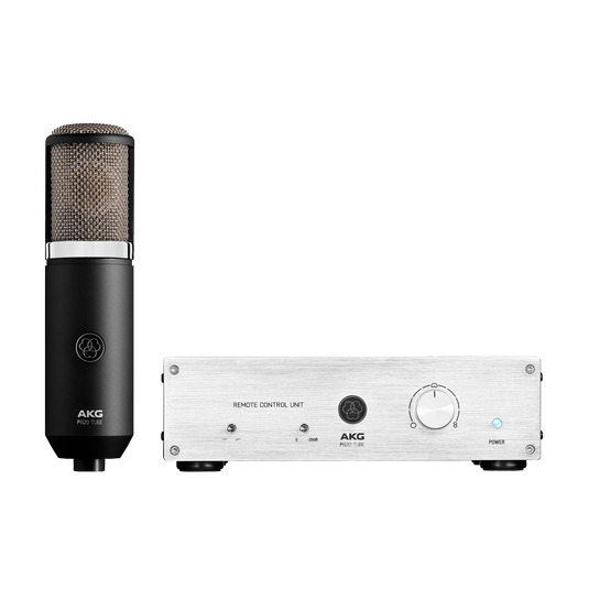 P820 Tube | High-performance dual-capsule tube microphone