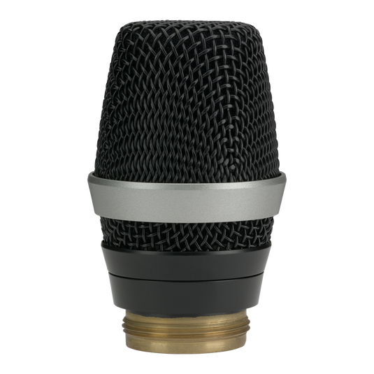 D5 WL1 | Professional dynamic microphone head