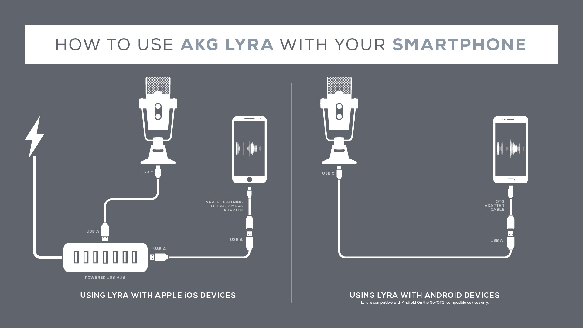Akg online lyra microphone